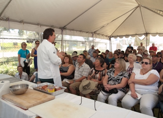 TASTE OF LOUISIANA COOKING DEMOS